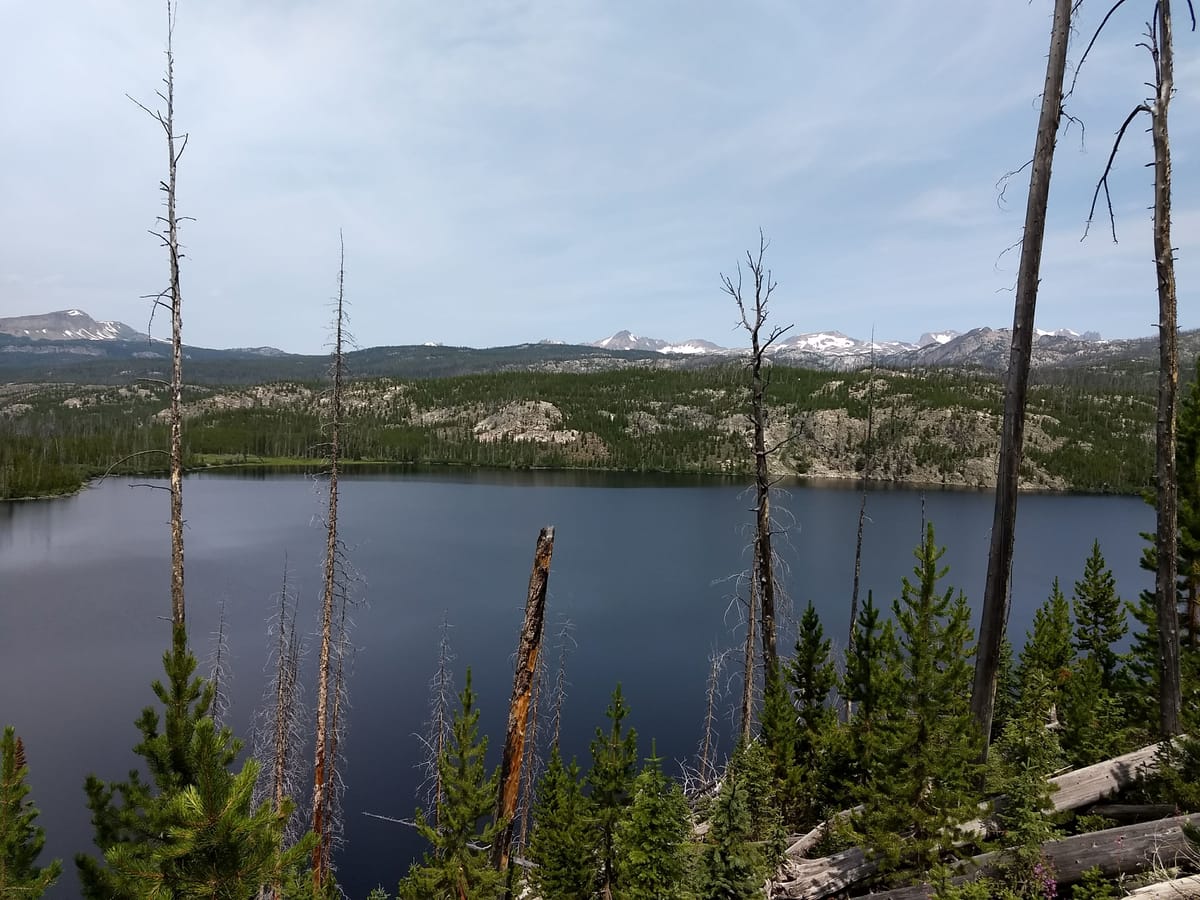 Well-Beaten Trail