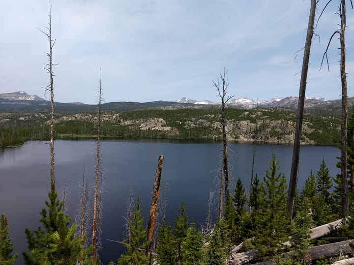 Well-Beaten Trail